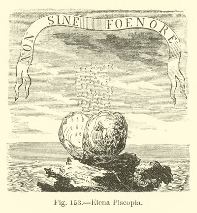 Elena Piscopia by English School
