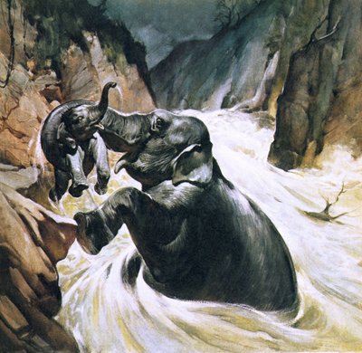 Elephant Saving Its Calf by English School