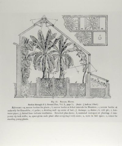 Elevation of a greenhouse, from 