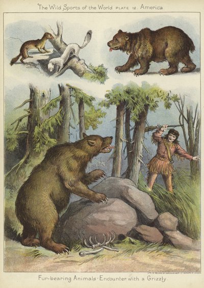 Encounter with a Grizzly by English School