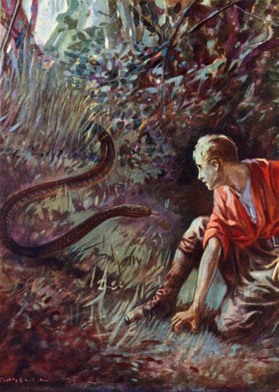 Encounter with a snake in the jungle by English School