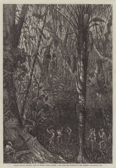 English Railway Surveying Party in Central America cutting a Road from Lake Nicaragua to the Atlantic by English School