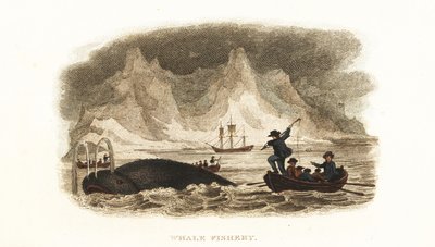 English whalers hunting whales in the Northern Seas near Greenland by English School
