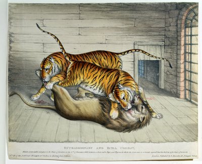 Extraordinary and Fatal Combat, 1830 by English School