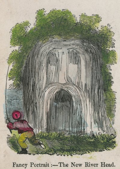 Fancy Portrait - the New River Head by English School