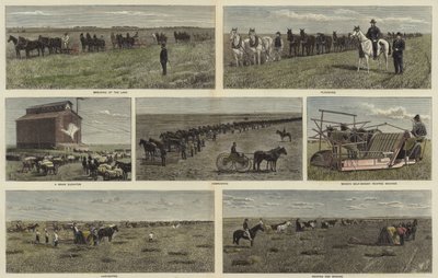 Farming on the plains of North America by English School