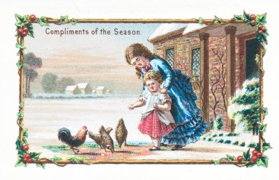Feeding Chickens by English School
