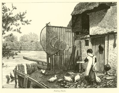Feeding Ducks by English School