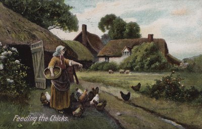 Feeding the Chicks by English School