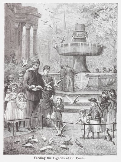Feeding the Pigeons at St Paul