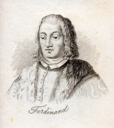 Ferdinand V, King of Castile, from 
