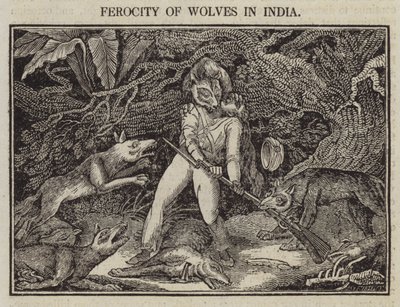 Ferocity of Wolves in India by English School