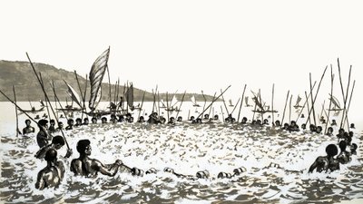 Fish Driving in Fiji by English School