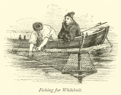 Fishing for Whitebait by English School