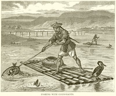 Fishing with Cormorants by English School