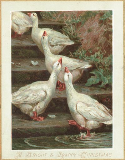 Five Geese standing on steps by English School
