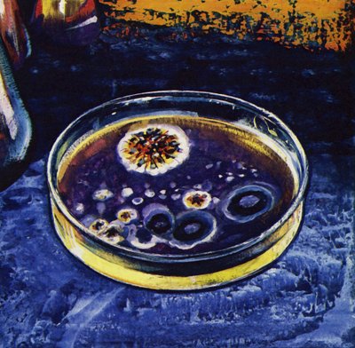 Fleming noticed that a fungus had killed nearby germs by English School