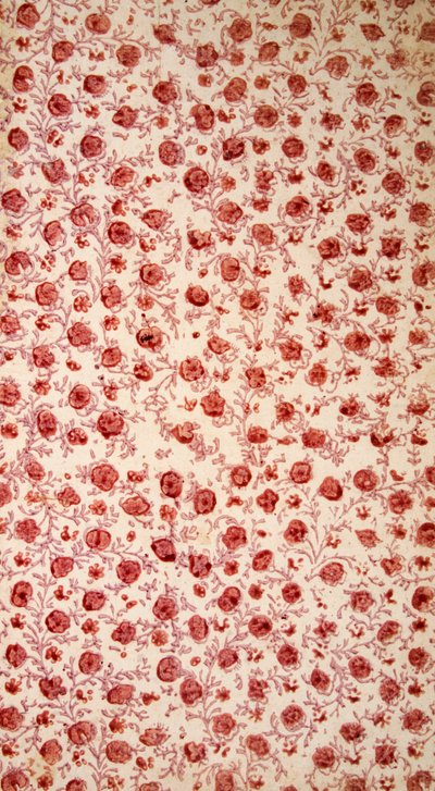 Floral Endpaper hand coloured engraving by English School