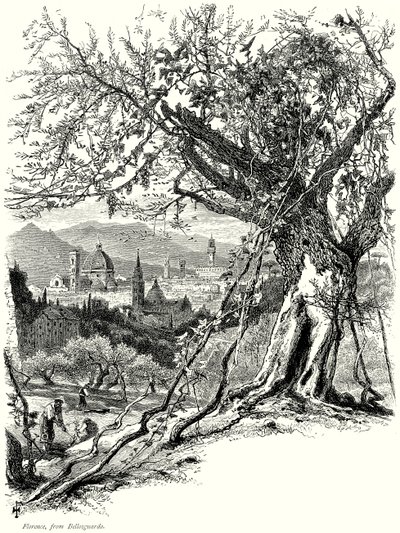 Florence, from Bellosguardo by English School