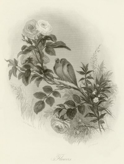 Flowers by English School
