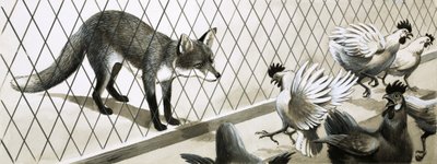Fox eying chickens by English School