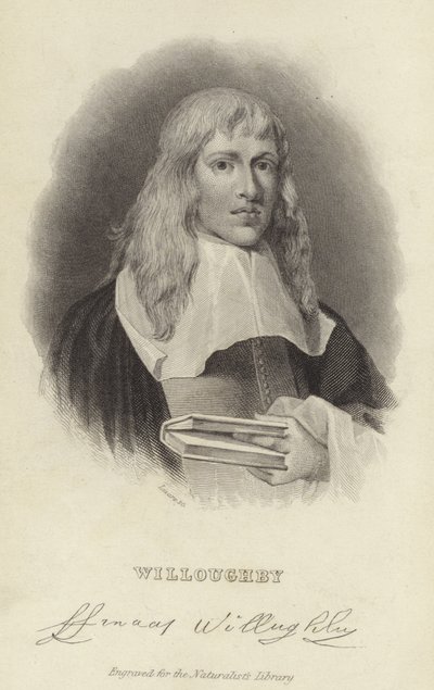 Francis Willughby by English School