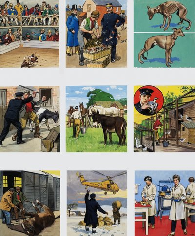 From Then Till Now: The Story of the RSPCA by English School