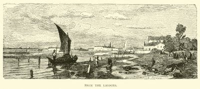 From the Lagoons by English School