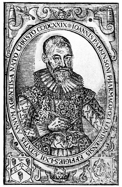 Frontispiece for Paradisi in Sole Paradisus Terrestris by John Parkinson, published 1629 by English School