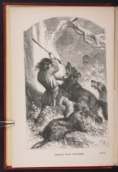 Frontispiece from The British Wolf-Hunters. A tale, etc., by Thomas Miller by English School