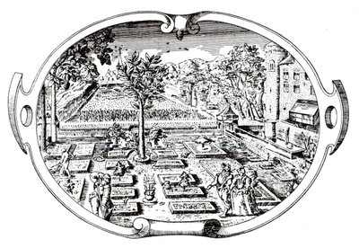 Frontispiece, from The Herball, by John Gerard by English School