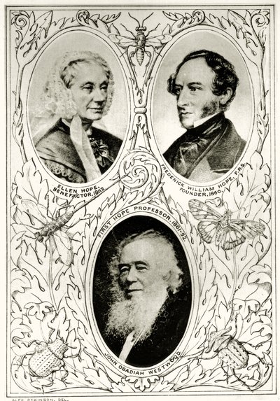 Frontispiece from The Hope Reports, Vol. II, 1897-1900, edited by Edward B. Poulton, Oxford, 1901 by English School