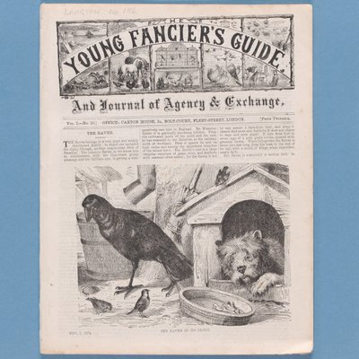 Frontispiece from The Young Fanciers Guide, 1874 by English School