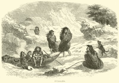 Fuegians by English School