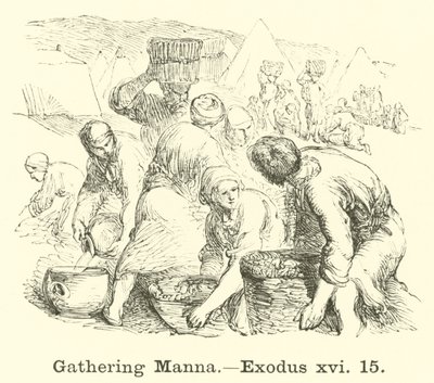 Gathering Manna, Exodus 16:15 by English School