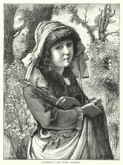 Gathering the wild flowers by English School