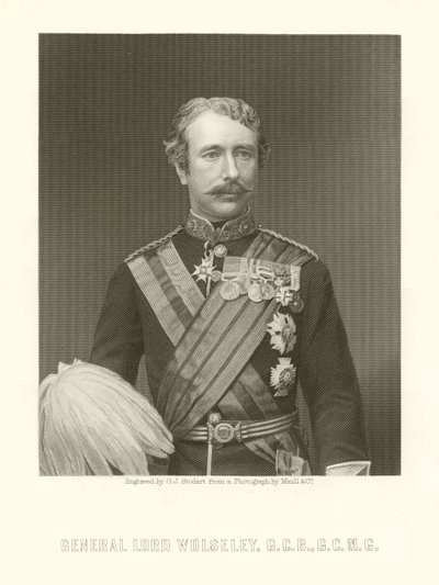 General Lord Wolseley by English School