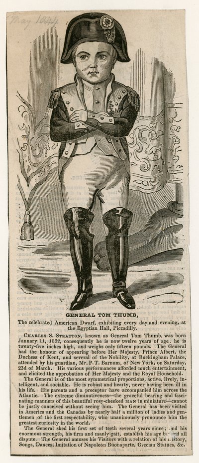 General Tom Thumb by English School