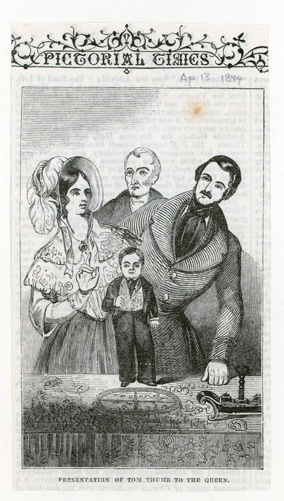 General Tom Thumb by English School