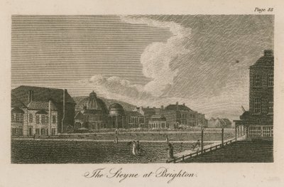 General View of the Steyne at Brighton by English School