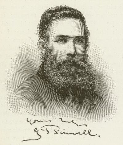 George John Pinwell by English School