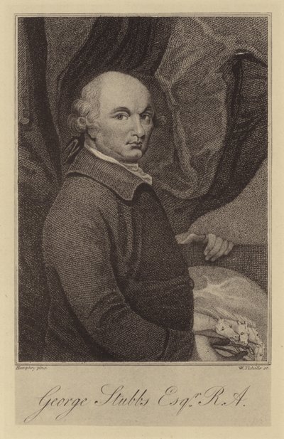 George Stubbs by English School