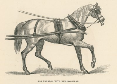 Gig Harness with Kicking-Strap by English School
