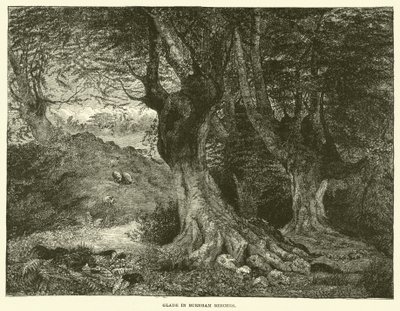 Glade in Burnham Beeches by English School
