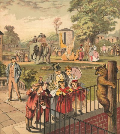 Going to the Zoo by English School