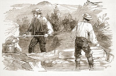 Gold-Washing at the Diggings, from The Illustrated London News, 1849 by English School