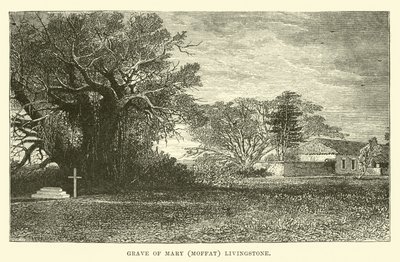 Grave of Mary (Moffat) Livingstone by English School
