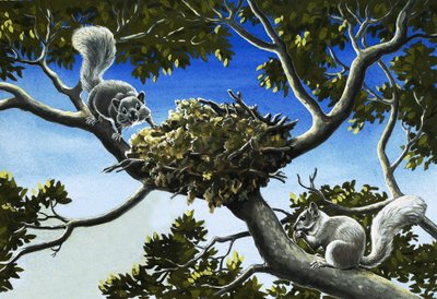 Gray Squirrels by English School