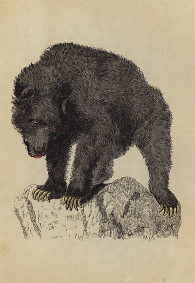 Grisly Bear by English School