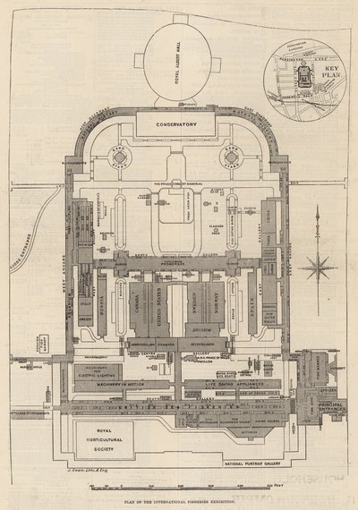 Ground Plan of the International Fisheries Exhibition, South Kensington by English School